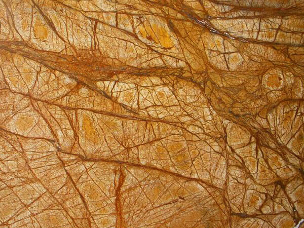 Rain Forrest Golden Marble- (India)