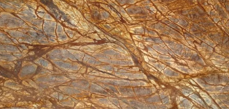 RAIN FOREST BROWN - INDIA